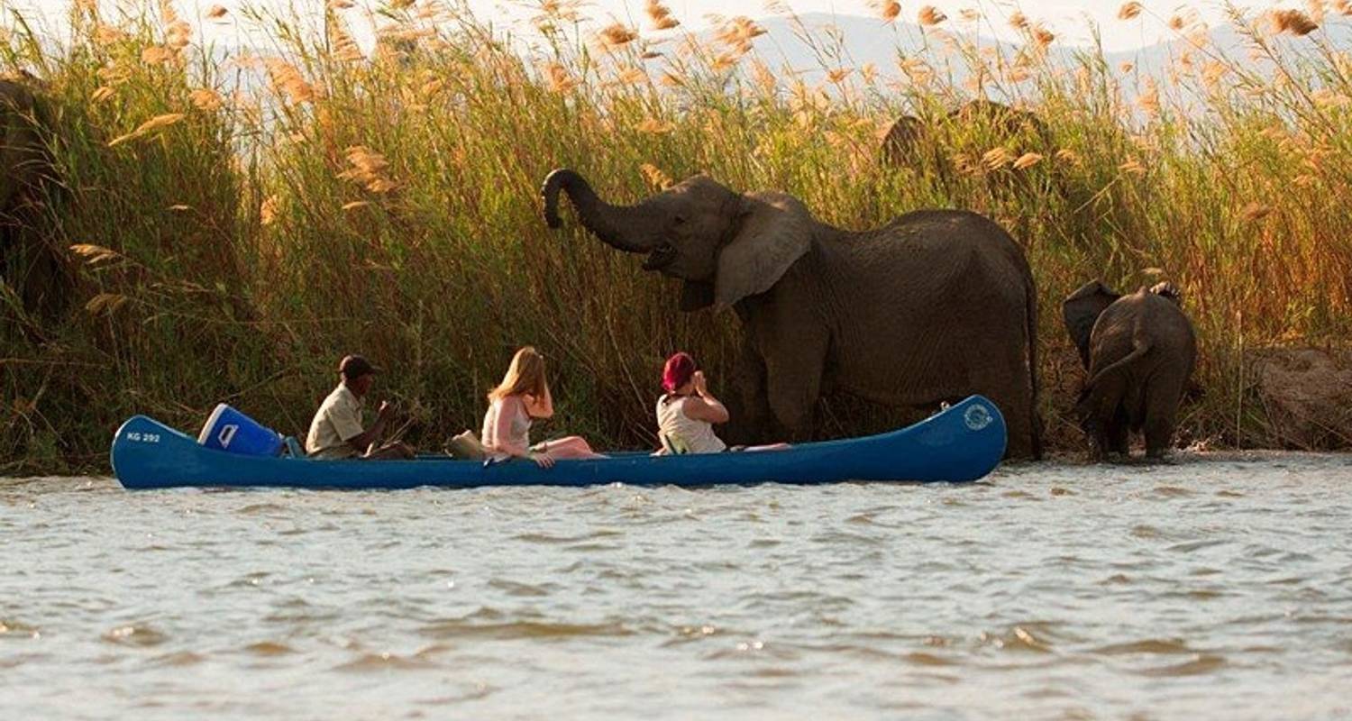  Is it worth to do canoeing in Lower Zambezi national park on Zambia safari 